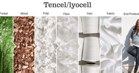  TENCEL™: Un Fibre Tessile Innovativo per un Futuro Sostenibile!